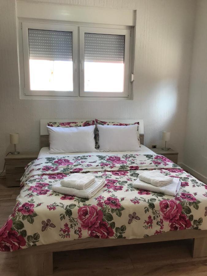 Apartman Studio Milojkovic Golubăţ Exterior foto