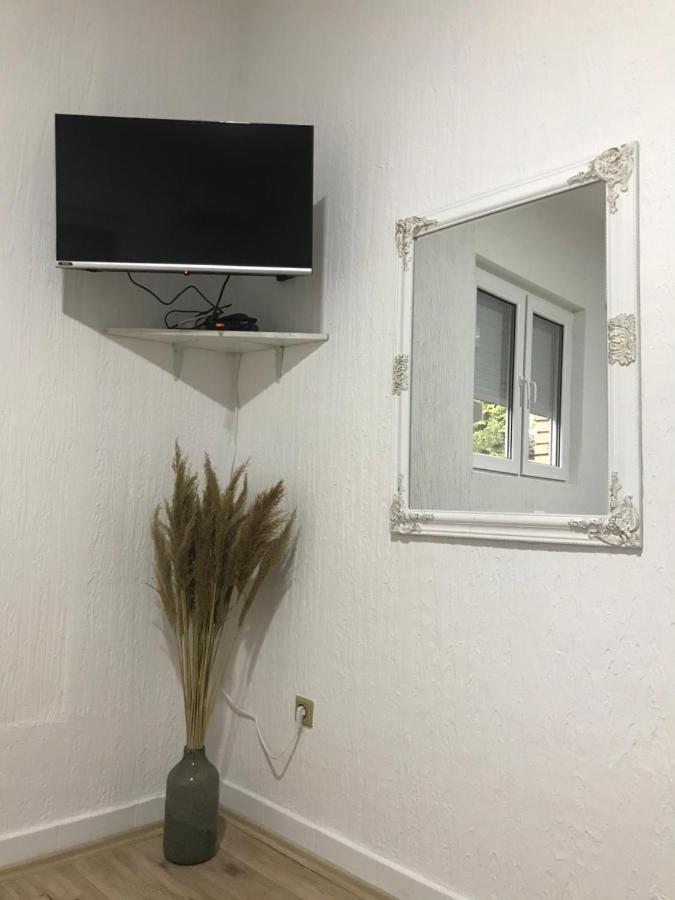 Apartman Studio Milojkovic Golubăţ Exterior foto