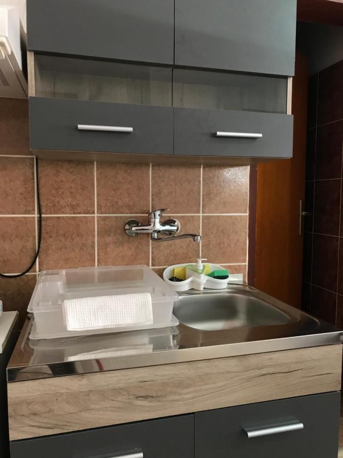 Apartman Studio Milojkovic Golubăţ Exterior foto