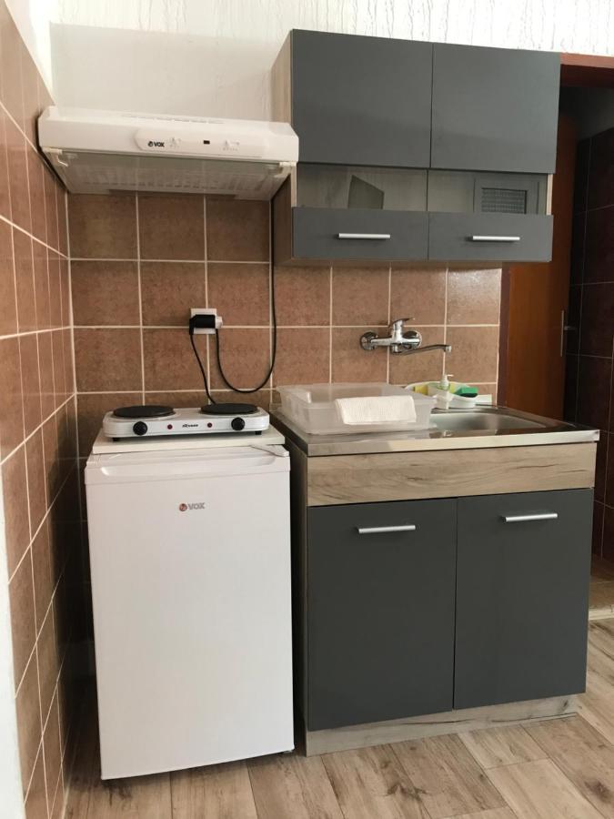 Apartman Studio Milojkovic Golubăţ Exterior foto