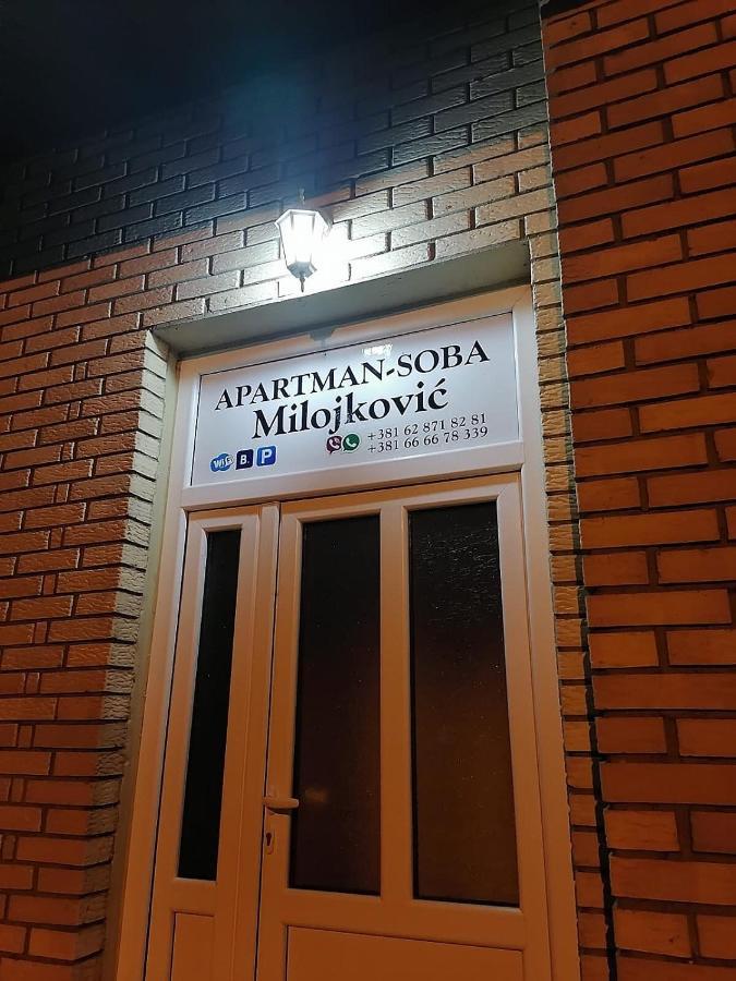 Apartman Studio Milojkovic Golubăţ Exterior foto