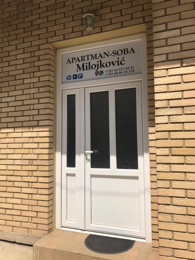 Apartman Studio Milojkovic Golubăţ Exterior foto
