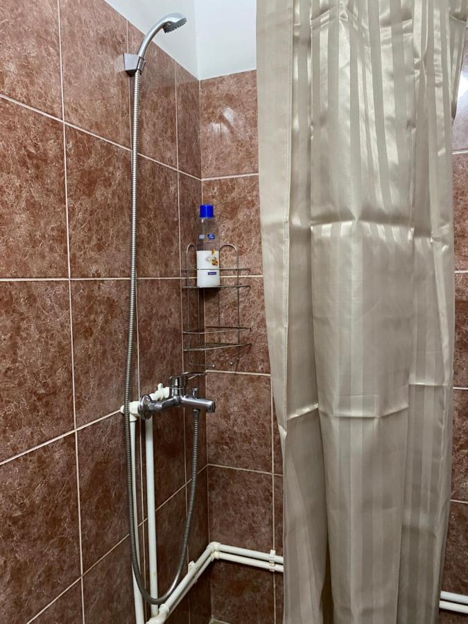 Apartman Studio Milojkovic Golubăţ Exterior foto