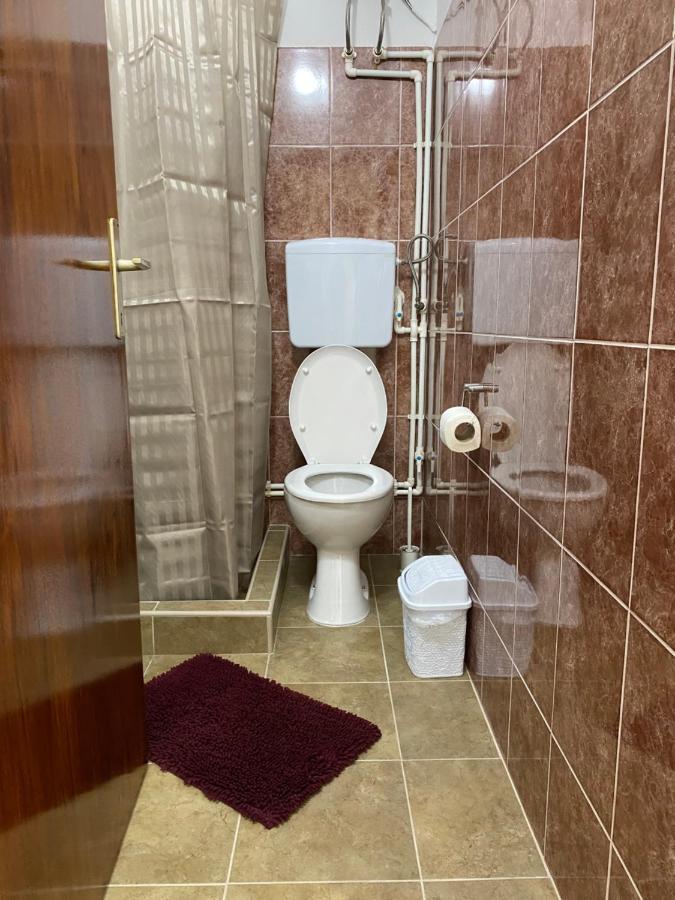 Apartman Studio Milojkovic Golubăţ Exterior foto